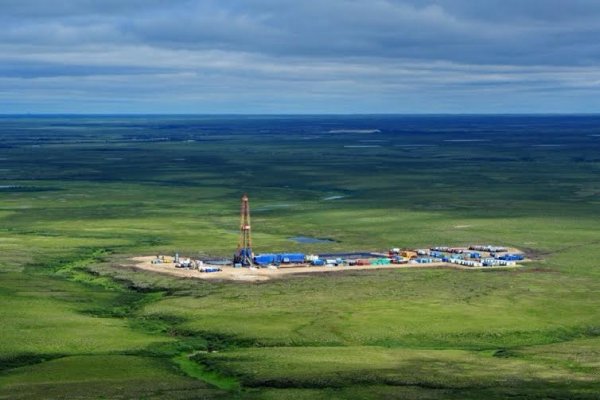 Восточно-Мессояхское месторождение Восточно-Мессояхское месторождение